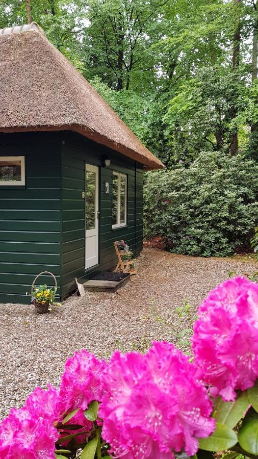 Casa vacanze 't Musje