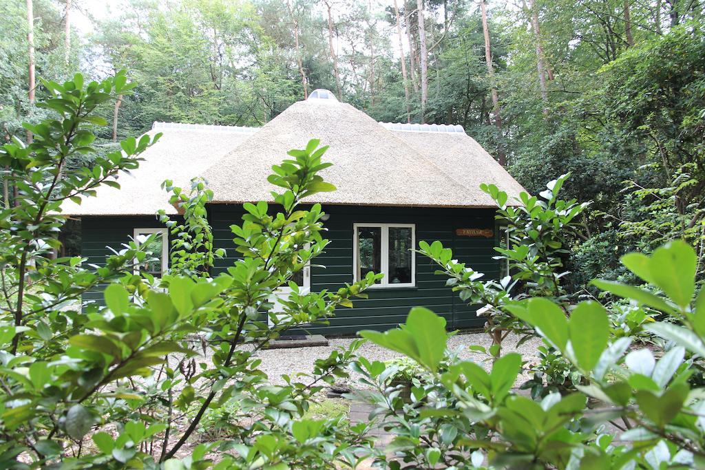 Casa vacanze 't Musje