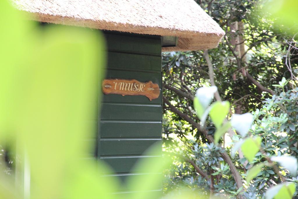 Casa vacanze 't Musje Epe